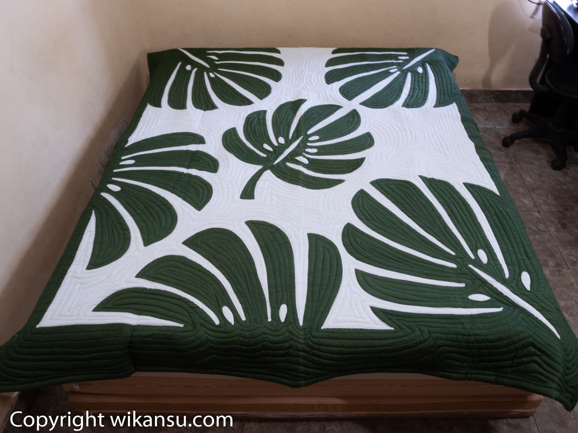 Tom Thumb Color Monstera Leaves