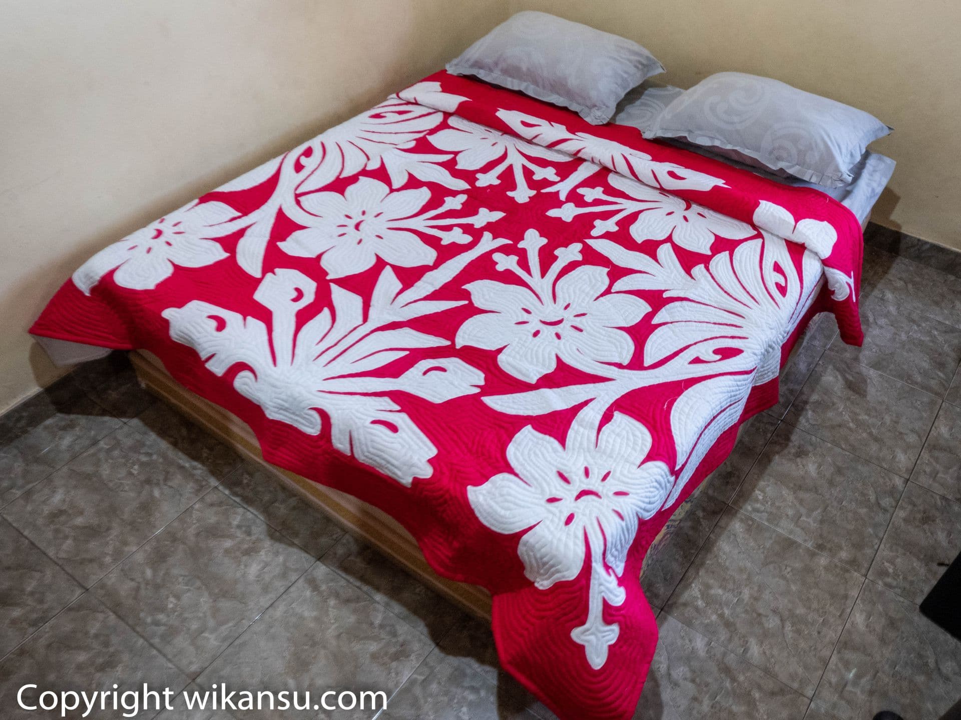 Bunga Kembang Sepatu Merah