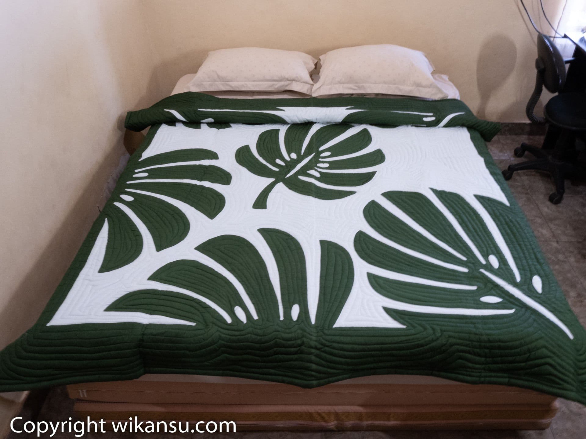 Tom Thumb Color Monstera Leaves