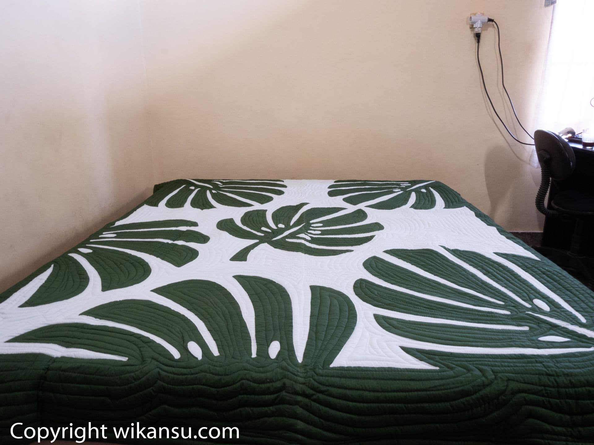 Tom Thumb Color Monstera Leaves